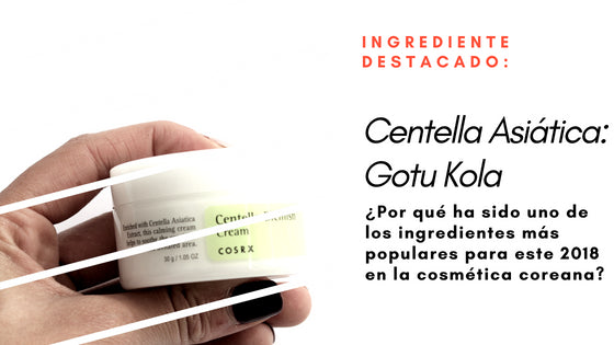 Ingrediente Destacado: La Centella Asiática. Descubre ¿Por qué ha sido el ingrediente de moda para este 2018 en la cosmética coreana?